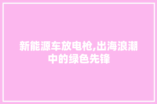 新能源车放电枪,出海浪潮中的绿色先锋