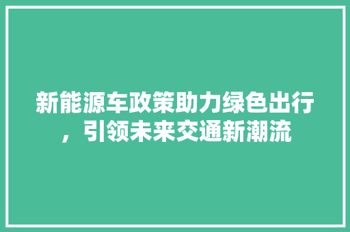 新能源车政策助力绿色出行，引领未来交通新潮流