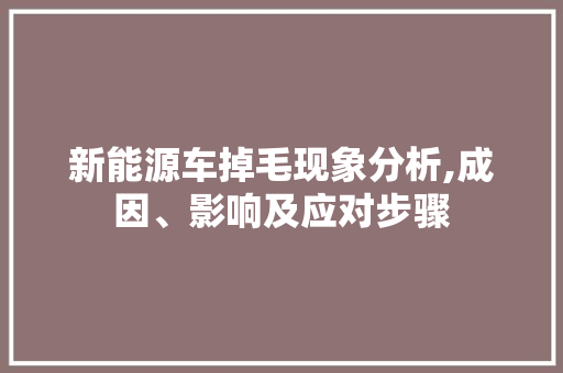 新能源车掉毛现象分析,成因、影响及应对步骤