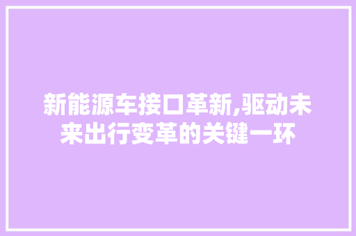 新能源车接口革新,驱动未来出行变革的关键一环