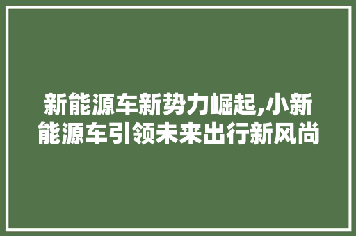 新能源车新势力崛起,小新能源车引领未来出行新风尚