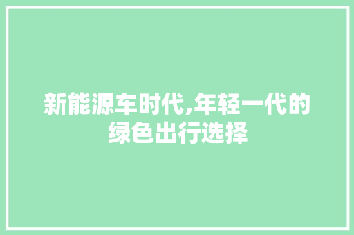 新能源车时代,年轻一代的绿色出行选择