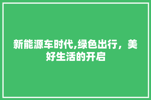 新能源车时代,绿色出行，美好生活的开启