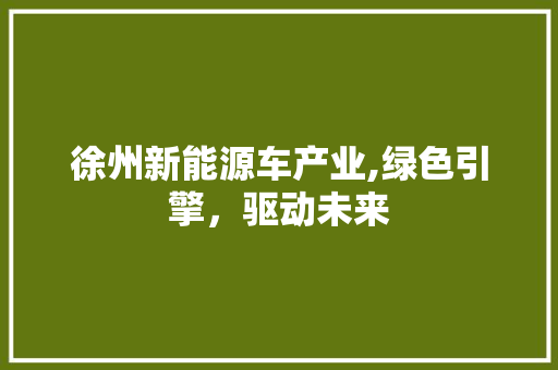徐州新能源车产业,绿色引擎，驱动未来