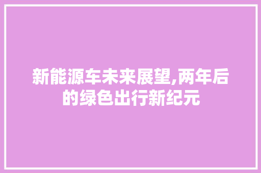 新能源车未来展望,两年后的绿色出行新纪元