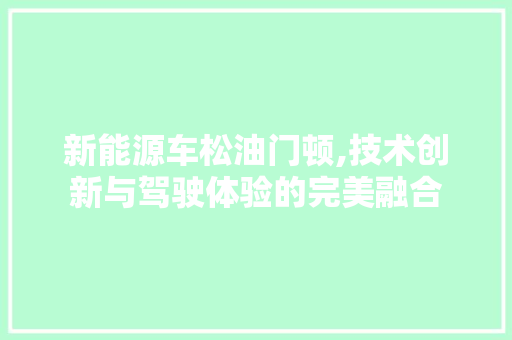 新能源车松油门顿,技术创新与驾驶体验的完美融合