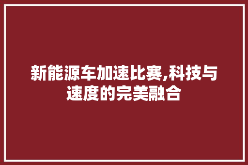 新能源车加速比赛,科技与速度的完美融合