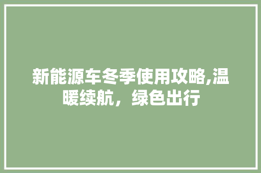新能源车冬季使用攻略,温暖续航，绿色出行