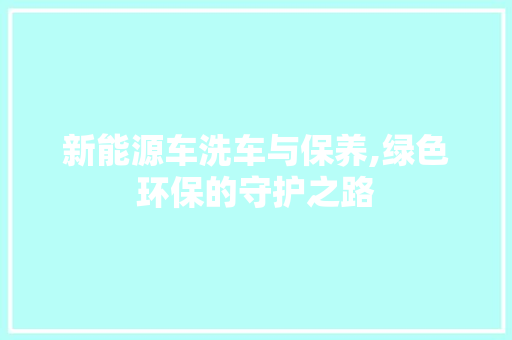 新能源车洗车与保养,绿色环保的守护之路