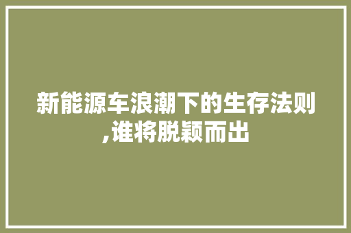 新能源车浪潮下的生存法则,谁将脱颖而出
