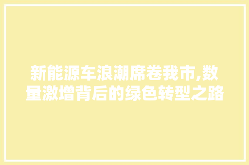 新能源车浪潮席卷我市,数量激增背后的绿色转型之路