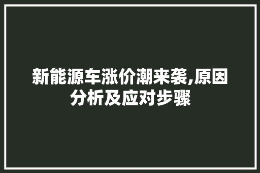 新能源车涨价潮来袭,原因分析及应对步骤