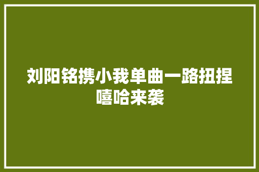 刘阳铭携小我单曲一路扭捏嘻哈来袭 休闲娱乐