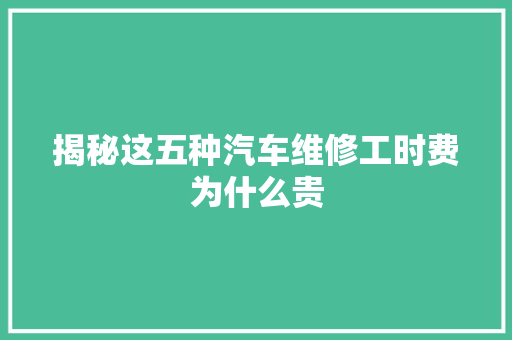 揭秘这五种汽车维修工时费为什么贵