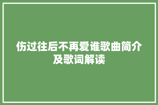 伤过往后不再爱谁歌曲简介及歌词解读