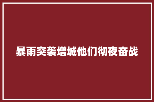 暴雨突袭增城他们彻夜奋战
