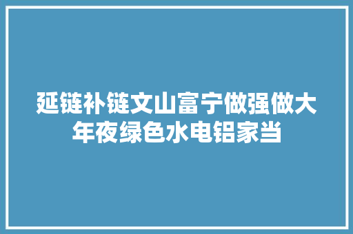 延链补链文山富宁做强做大年夜绿色水电铝家当