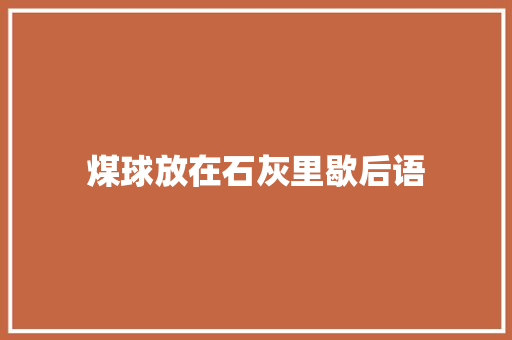 煤球放在石灰里歇后语