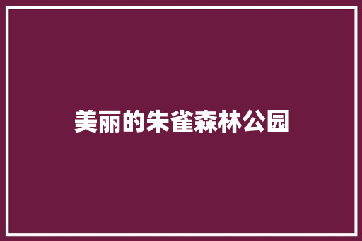 美丽的朱雀森林公园