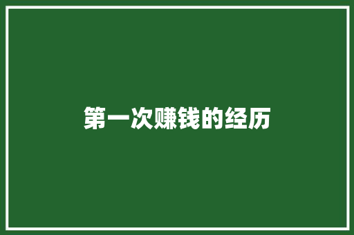 第一次赚钱的经历