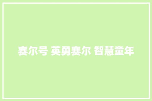 赛尔号 英勇赛尔 智慧童年