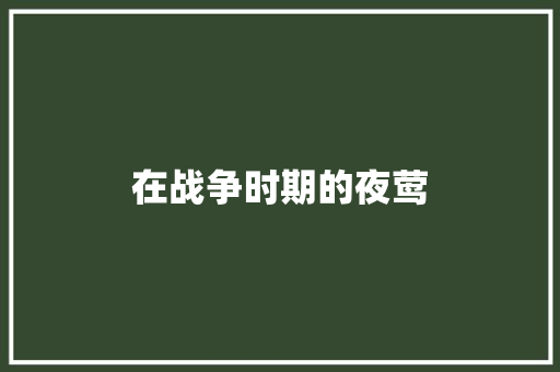 在战争时期的夜莺