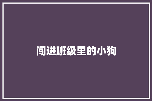 闯进班级里的小狗 知识百科
