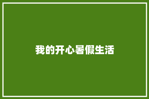 我的开心暑假生活