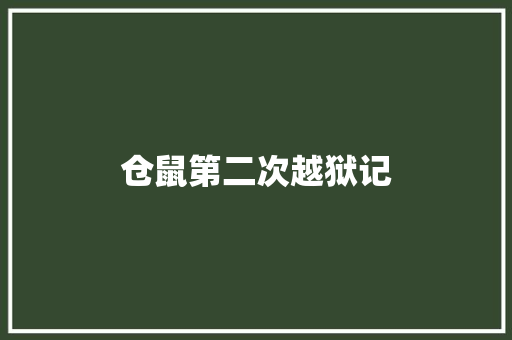 仓鼠第二次越狱记