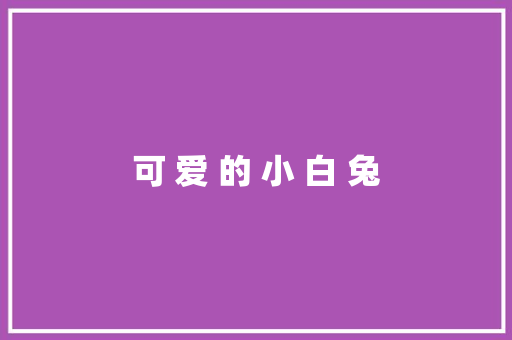 可 爱 的 小 白 兔