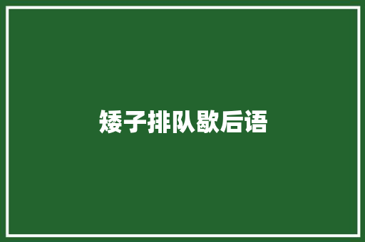 矮子排队歇后语