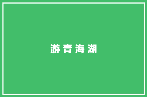 游 青 海 湖