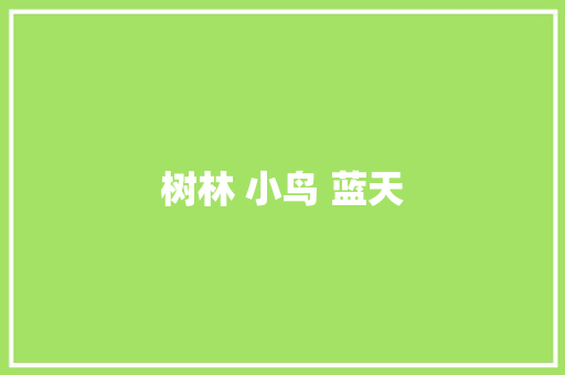树林 小鸟 蓝天