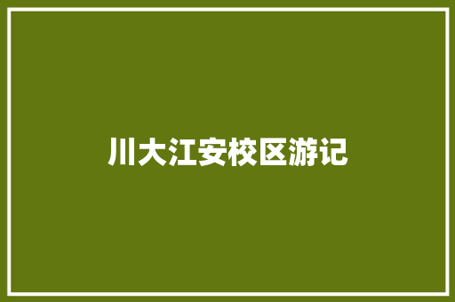 川大江安校区游记