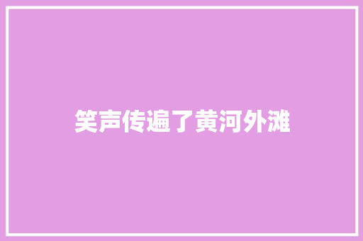 笑声传遍了黄河外滩