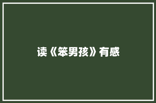 读《笨男孩》有感