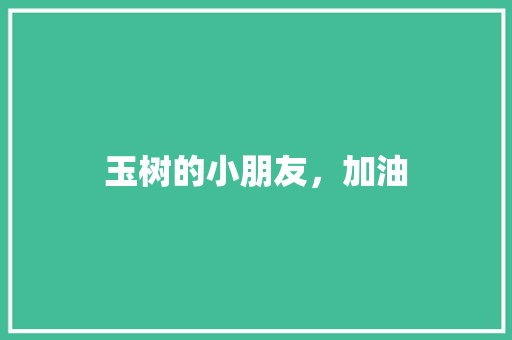 玉树的小朋友，加油
