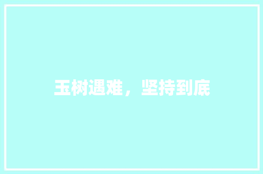 玉树遇难，坚持到底