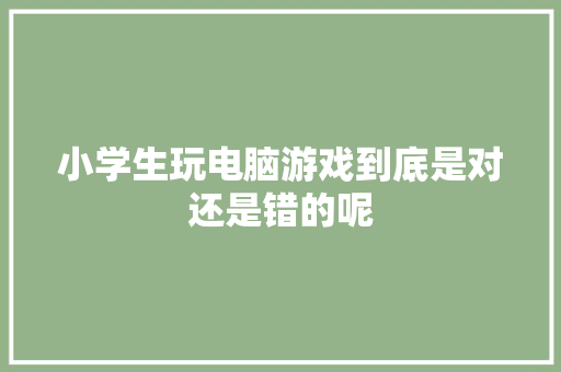 小学生玩电脑游戏到底是对还是错的呢