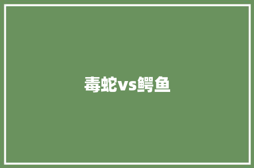 毒蛇vs鳄鱼