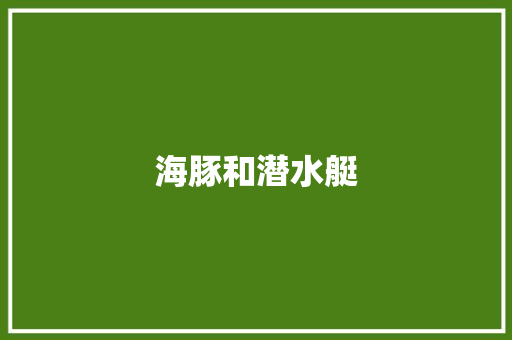 海豚和潜水艇