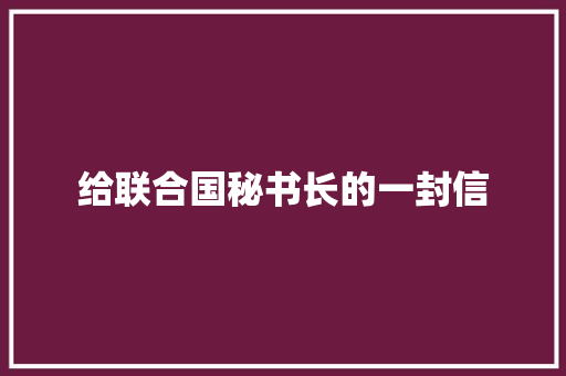 给联合国秘书长的一封信