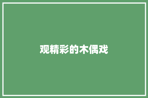 观精彩的木偶戏