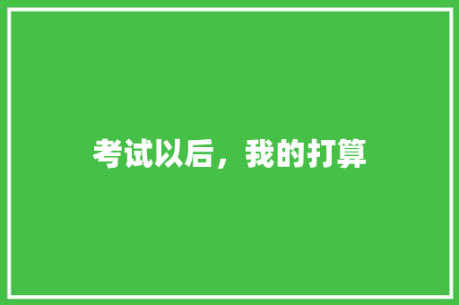 考试以后，我的打算