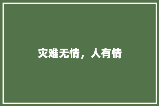 灾难无情，人有情