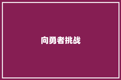 向勇者挑战
