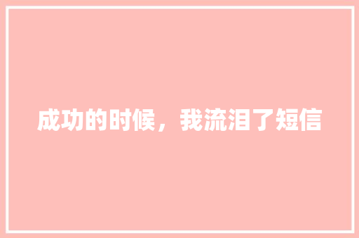 成功的时候，我流泪了短信