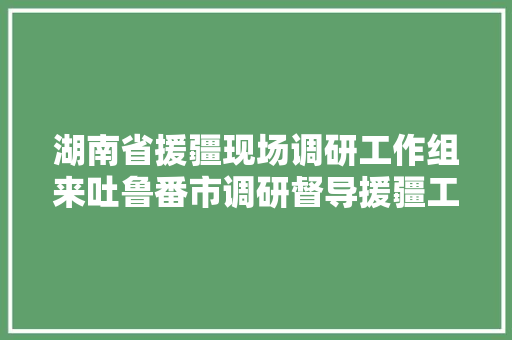 湖南省援疆现场调研工作组来吐鲁番市调研督导援疆工作
