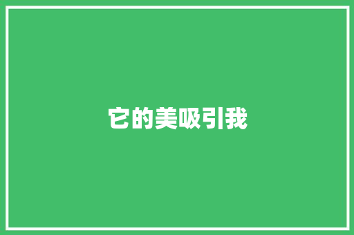 它的美吸引我