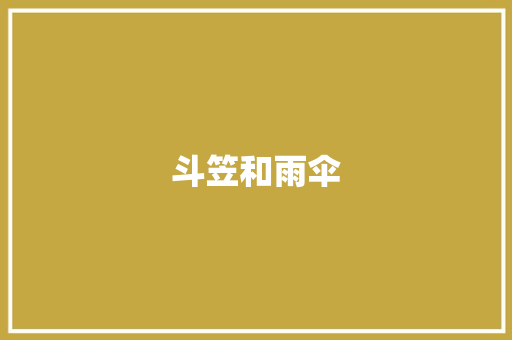 斗笠和雨伞